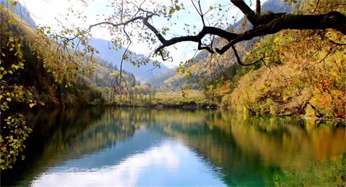 J9集团·(中国)首页官网